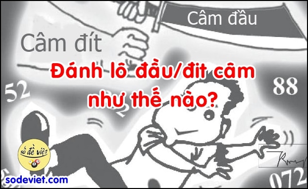 Lô câm đầu đít Cách đánh thần thánh cho người mới chơi!