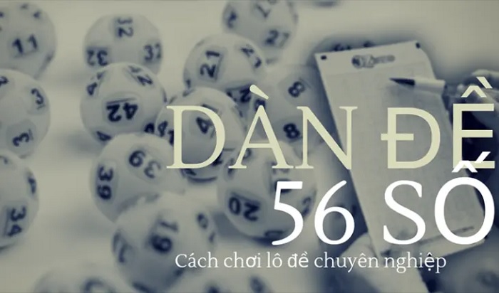 dan-de-56-so